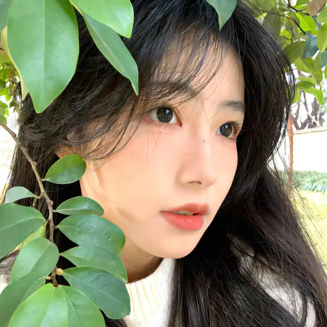 独女君未见第一季