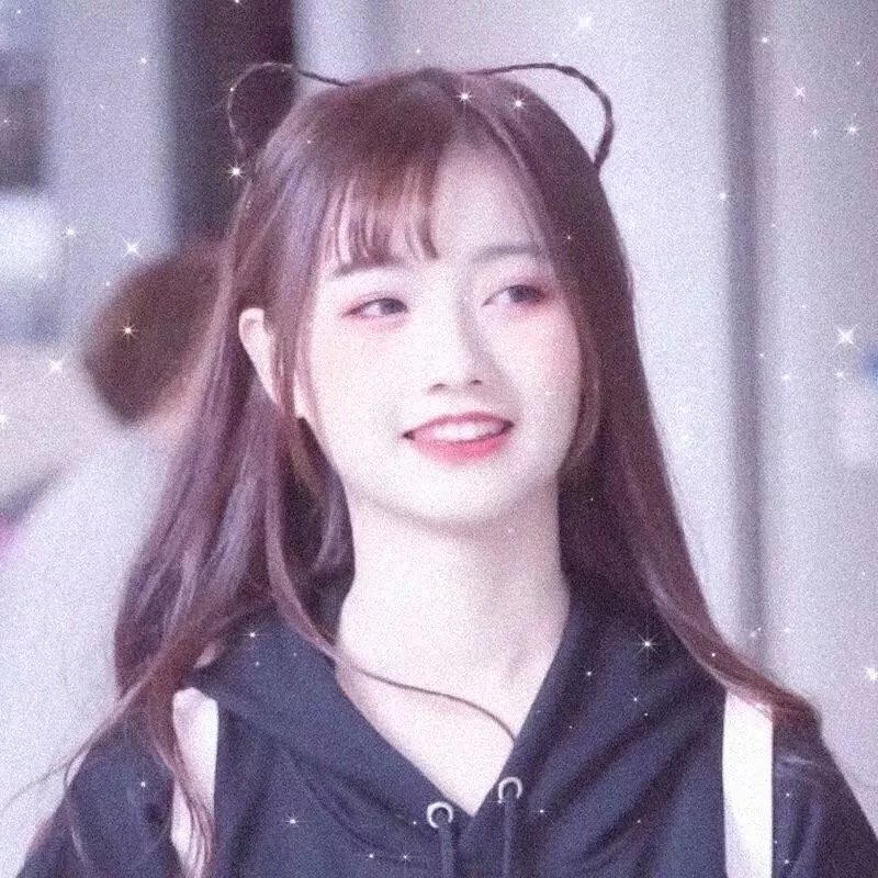 动物狂想曲第二季